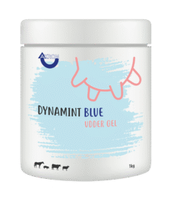 dynamint blu 1kg 3d 1200 1200 auto 80